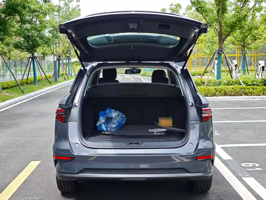 BYD Pro New Energy 2020