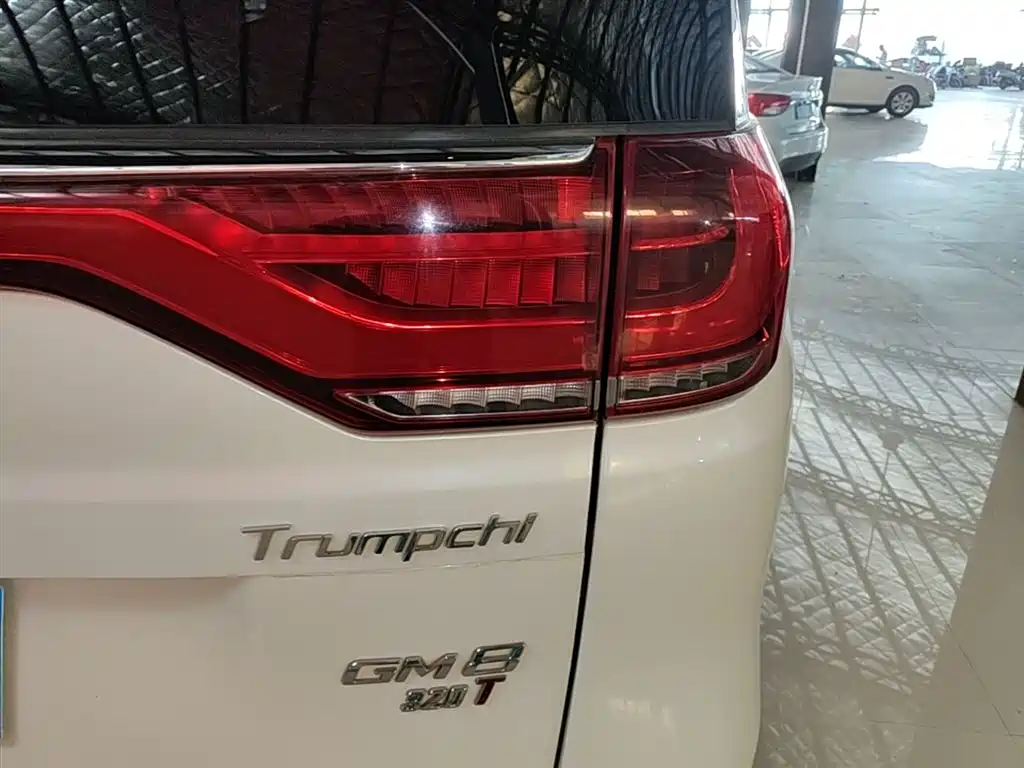 GAC Motor Trumpchi M8 2018 — фото 8
