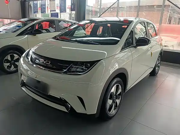 BYD Dolphin 2026