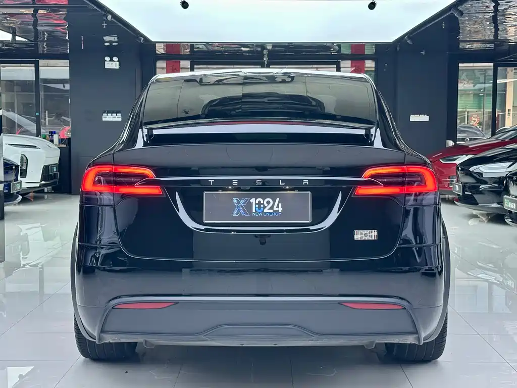 Tesla Model X 2023 — фото 5