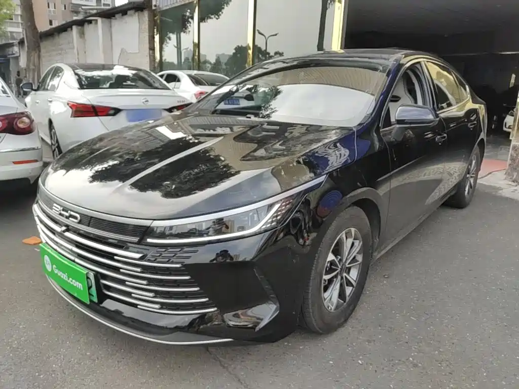 BYD Destroyer 05 2024 — фото 1