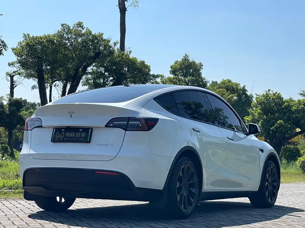 Tesla Model Y 2023 — фото 6