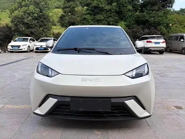 BYD Seagull 2024