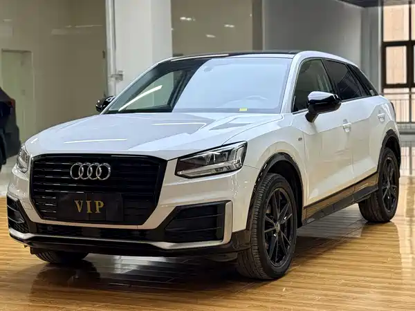 Audi Q2L 2019