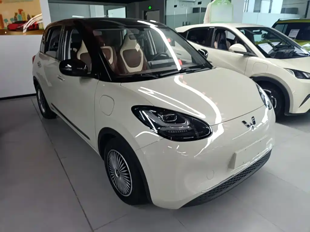 Wuling Bingo 2024