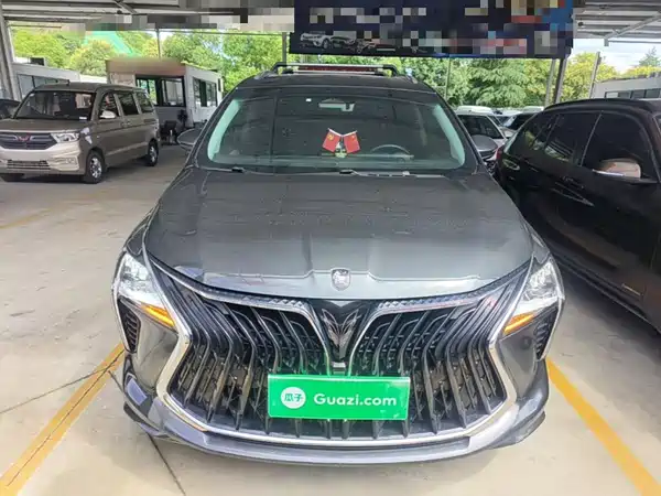 Dongfeng Popular Yacht 2023