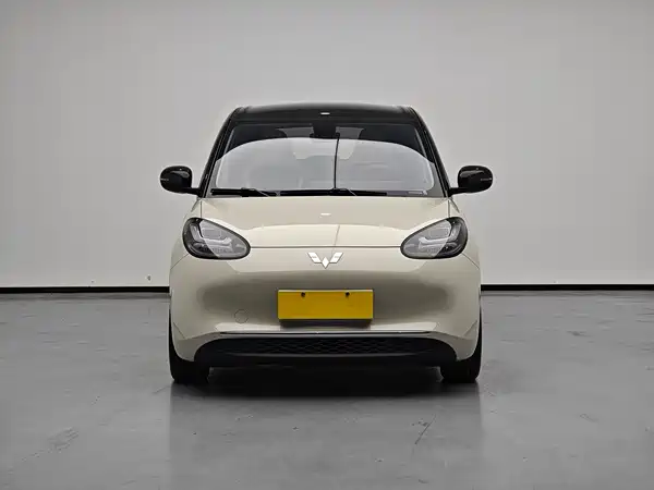 Wuling Bingo 2024