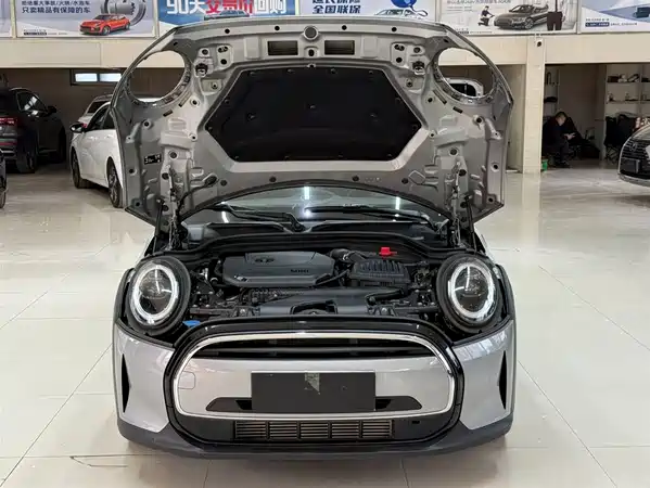MINI MINI 2023