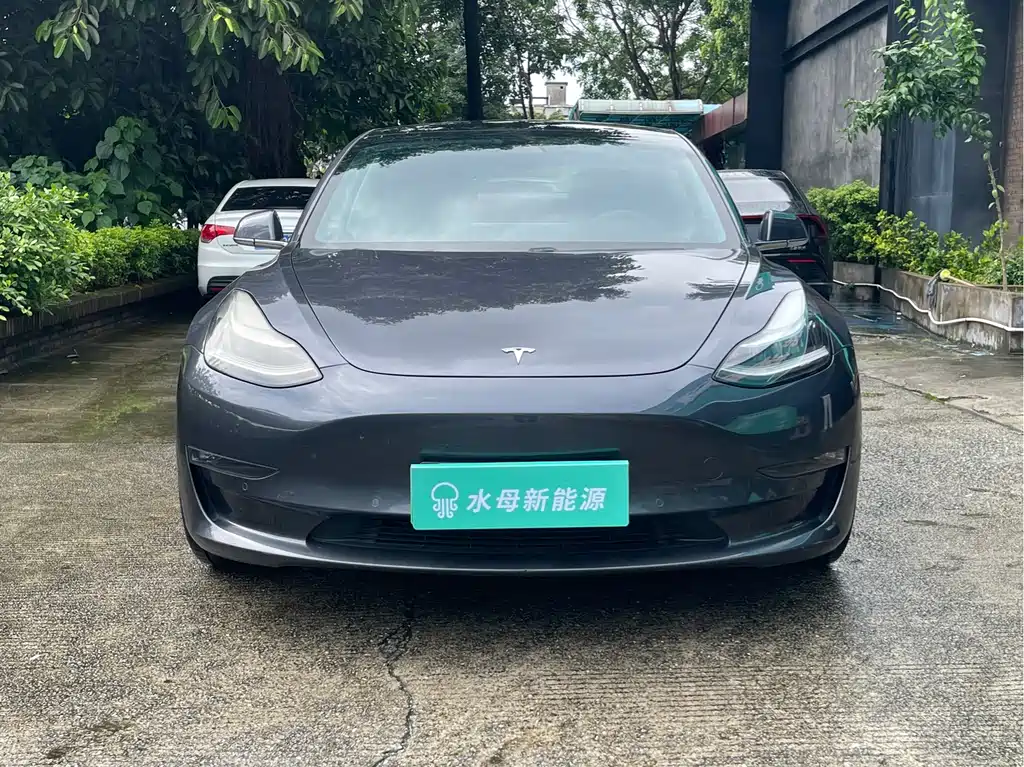 Tesla Model 3 2020 — фото 2