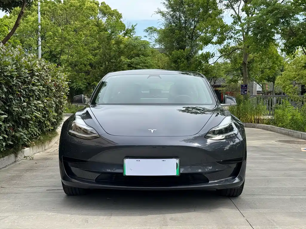 Tesla Model 3 2020 — фото 2