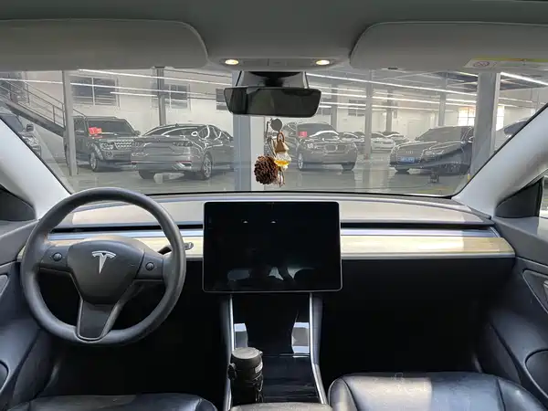 Tesla Model 3 2019