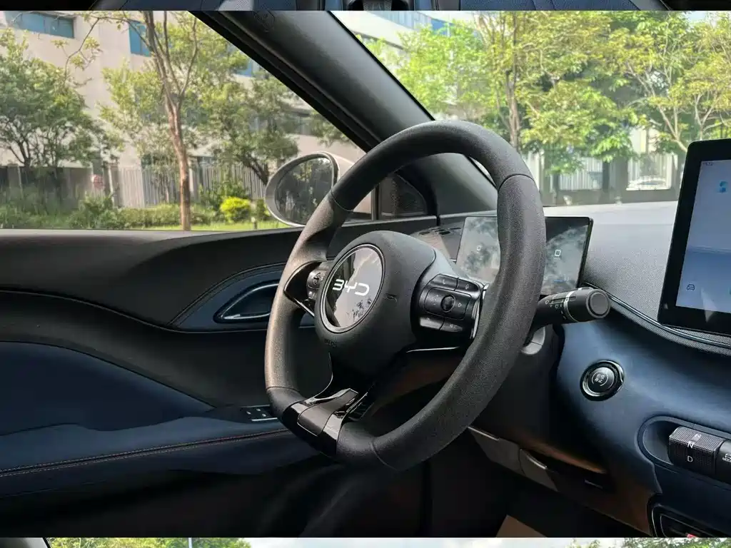 BYD Seagull 2024