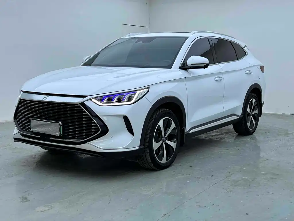BYD PLUS New Energy 2023 — фото 1