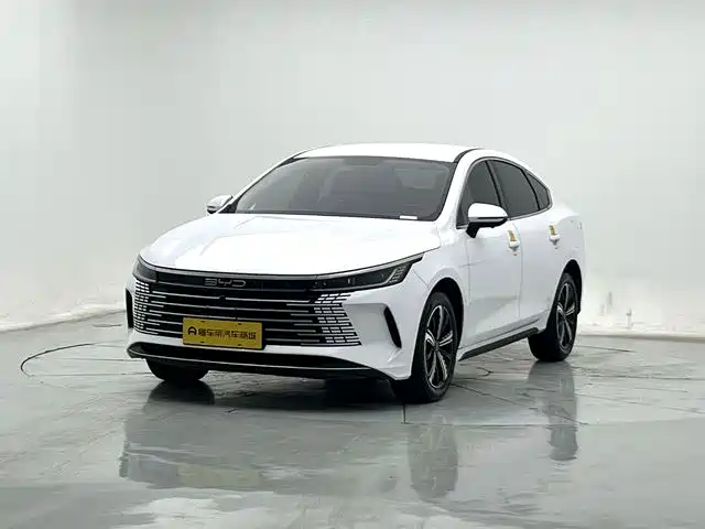 BYD Destroyer 05 2024 — фото 1