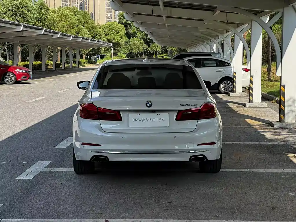 BMW 5 Series New Energy 2019