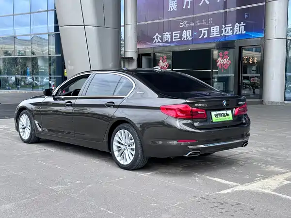 BMW 5 Series New Energy 2019