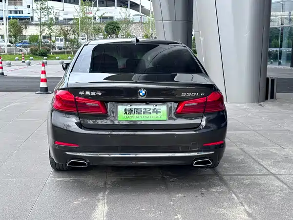BMW 5 Series New Energy 2019
