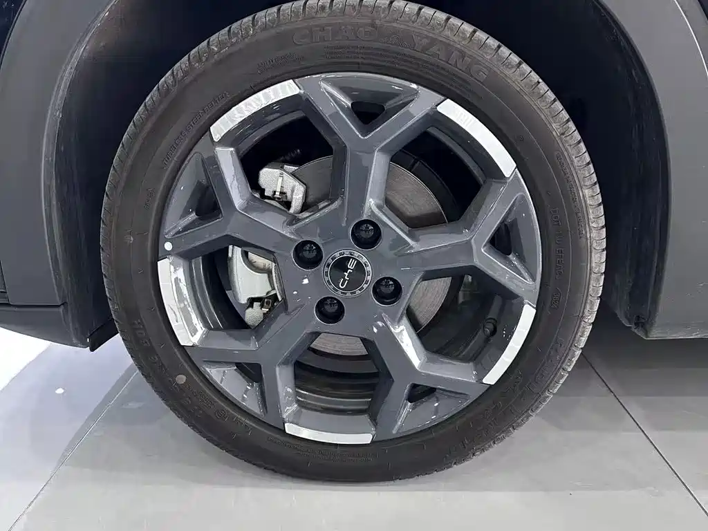 BYD Seagull 2024