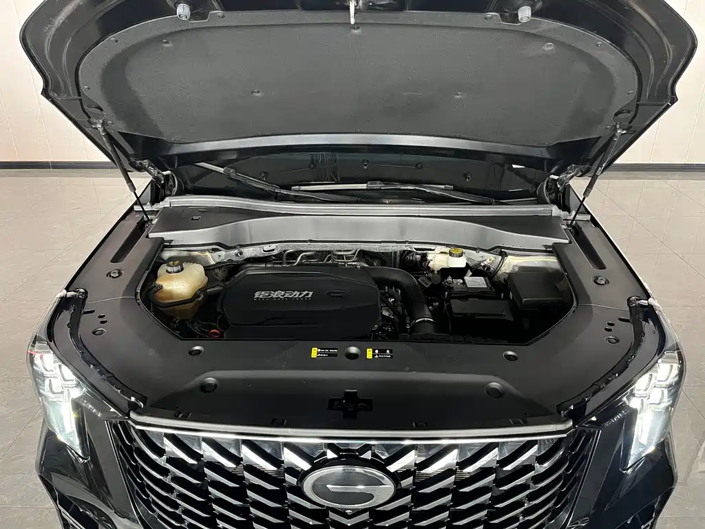 GAC Motor Trumpchi GS8 2024 — фото 10