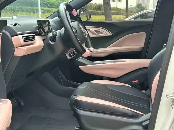 BYD Seagull 2024