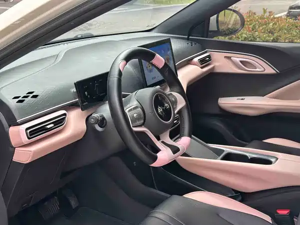 BYD Seagull 2024