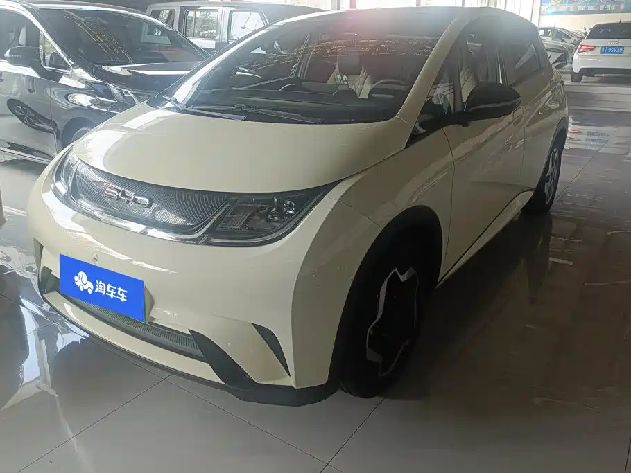 BYD Dolphin 2022