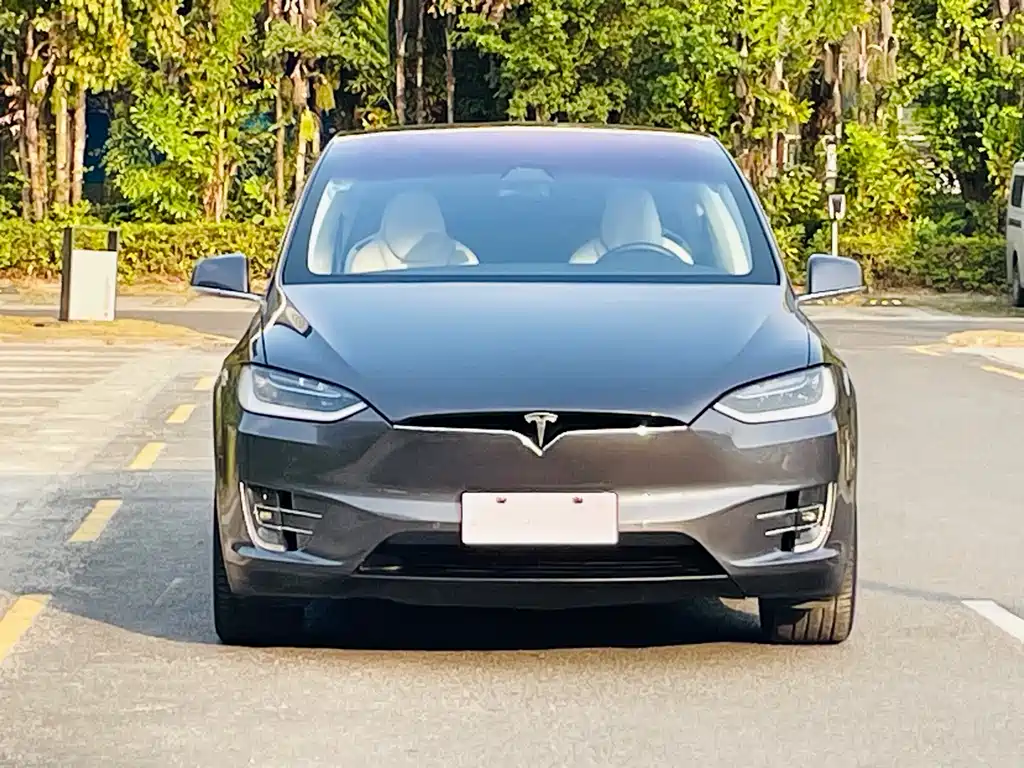 Tesla Model X 2019 — фото 2