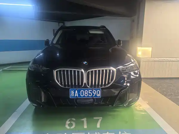 BMW X5 2024