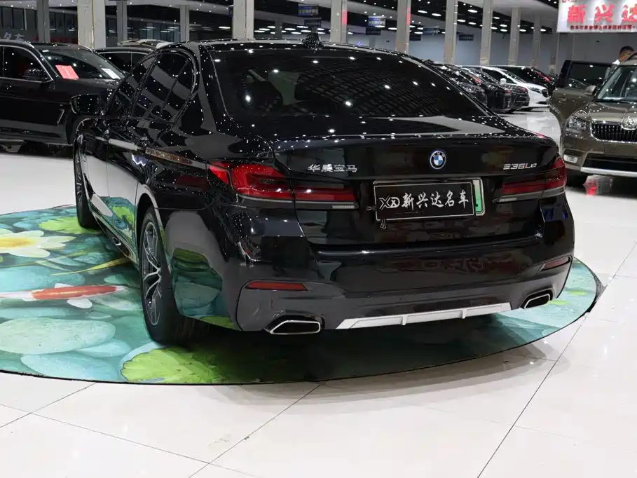 BMW 5 Series New Energy 2022