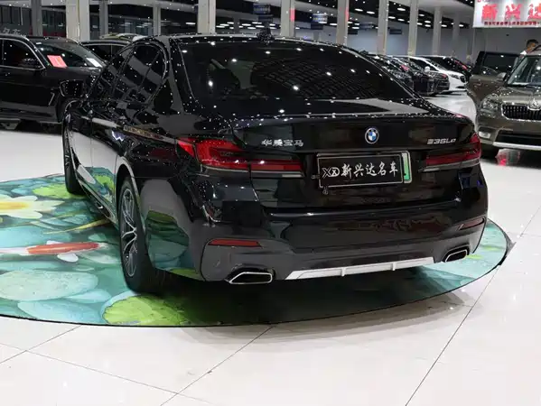 BMW 5 Series New Energy 2022