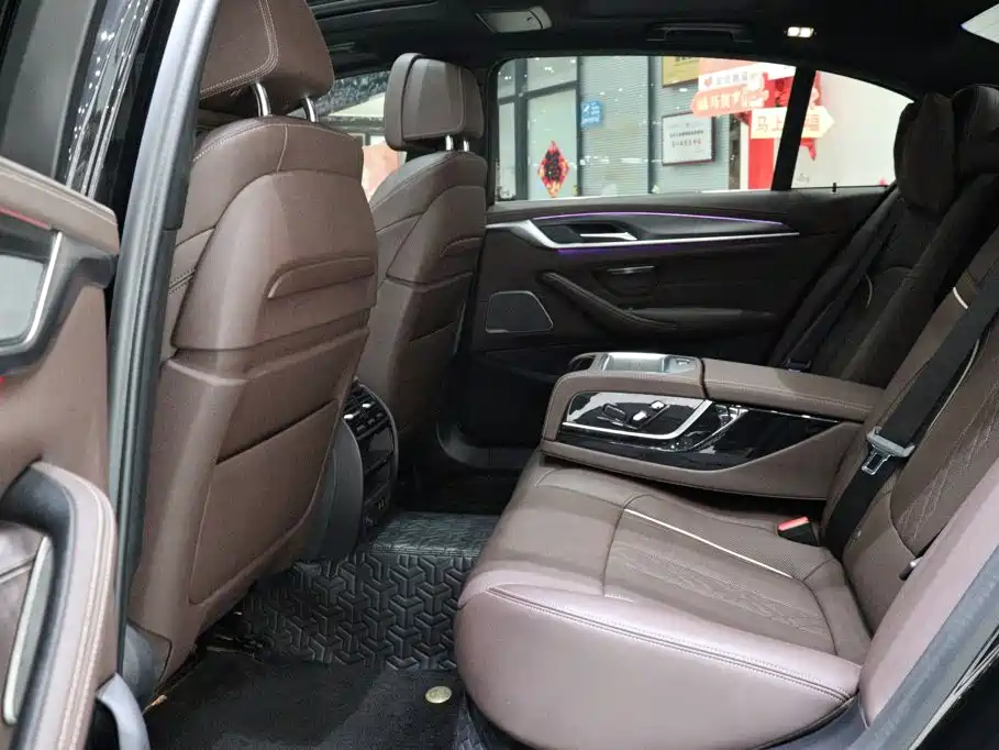 BMW 5 Series New Energy 2022