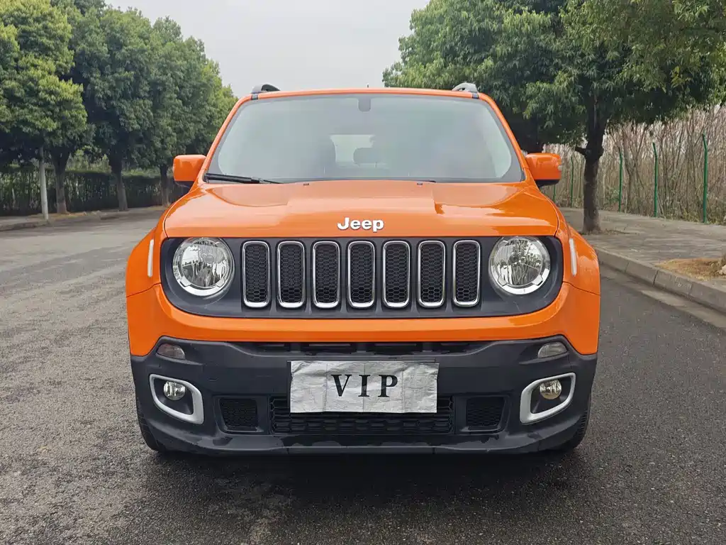 Jeep Renegade 2019 — фото 2