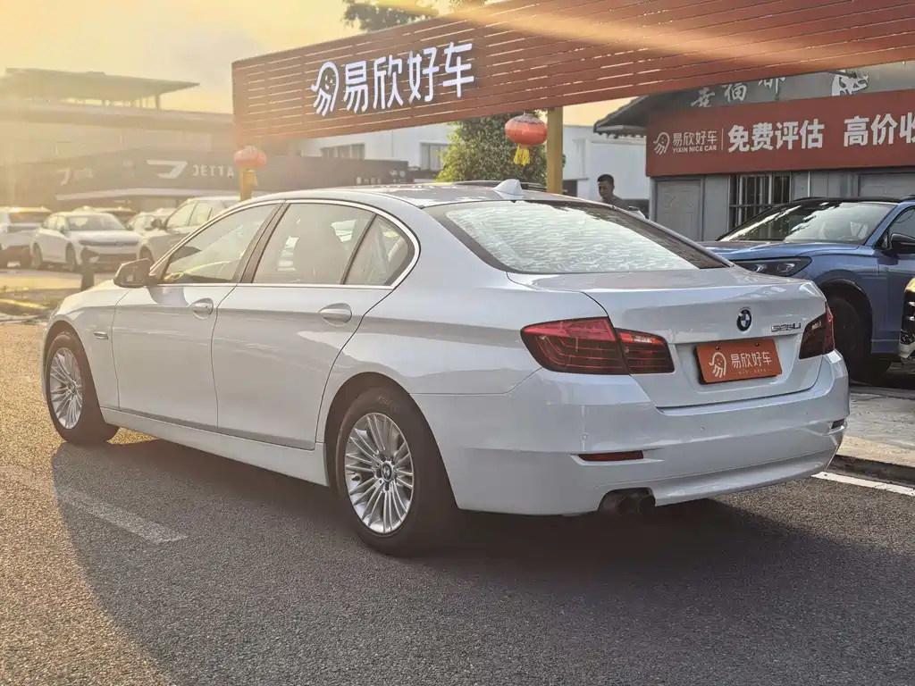 BMW 5 Series 2014 — фото 9