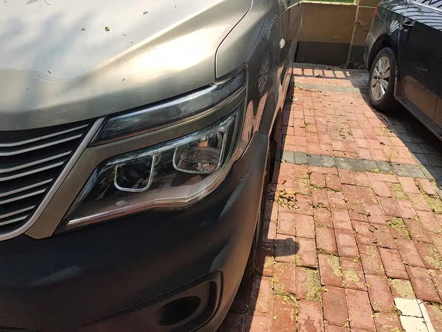 Dongfeng Lingzhi 2021