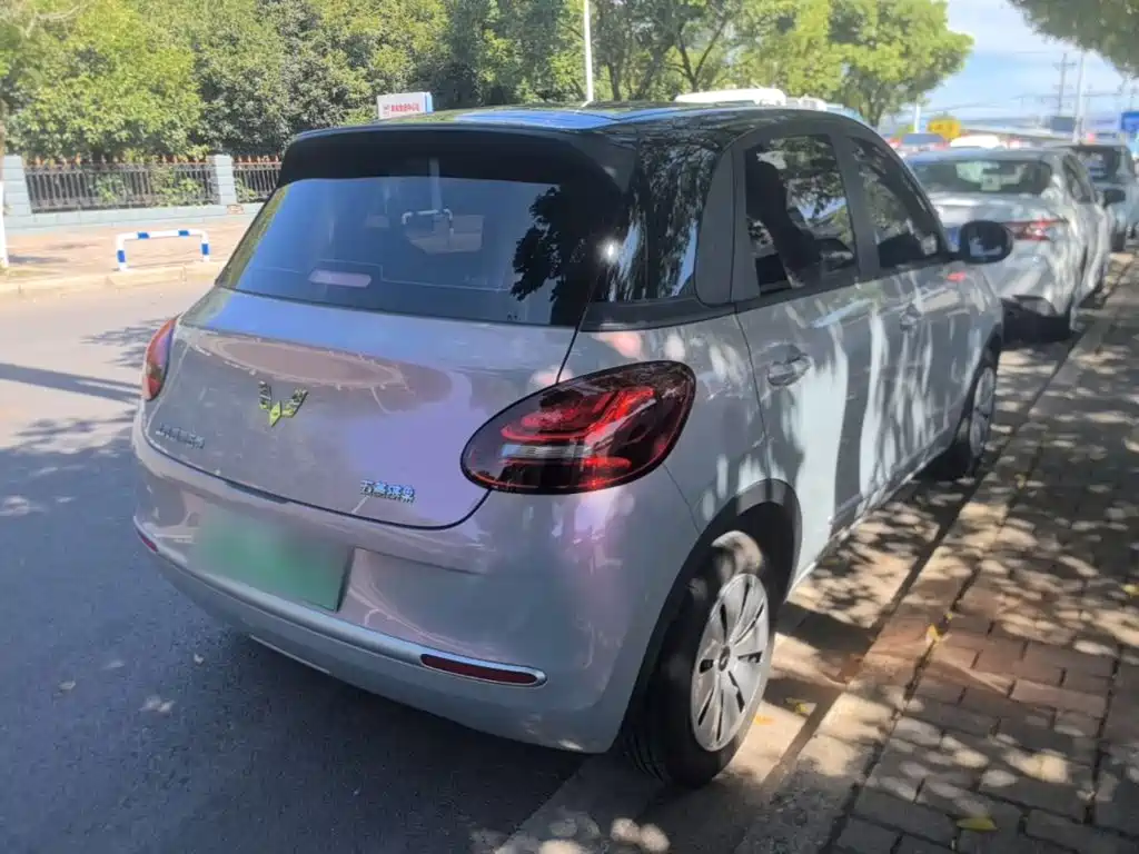 Wuling Bingo 2024