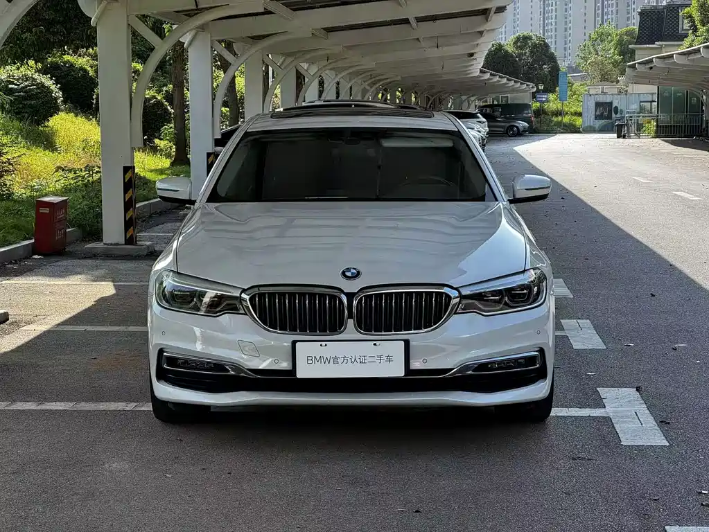 BMW 5 Series New Energy 2019