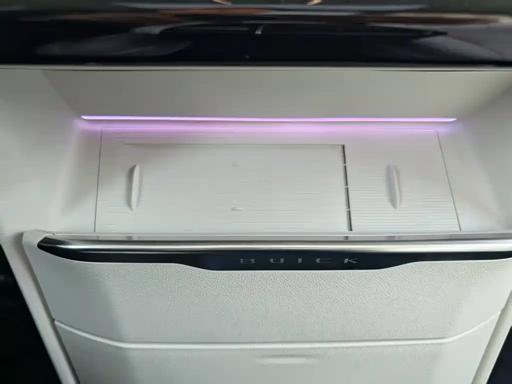 Buick GL8 Hybrid 2025 — фото 12
