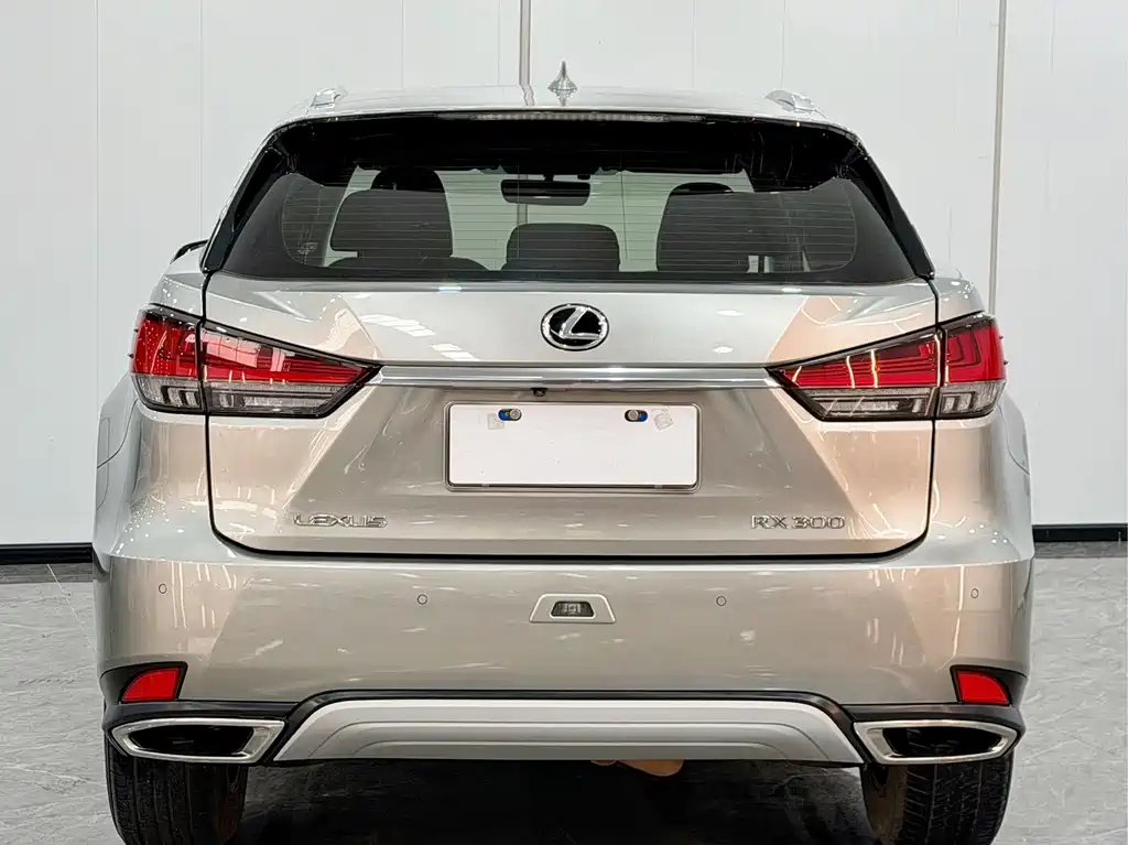 Lexus RX 2020 — фото 5