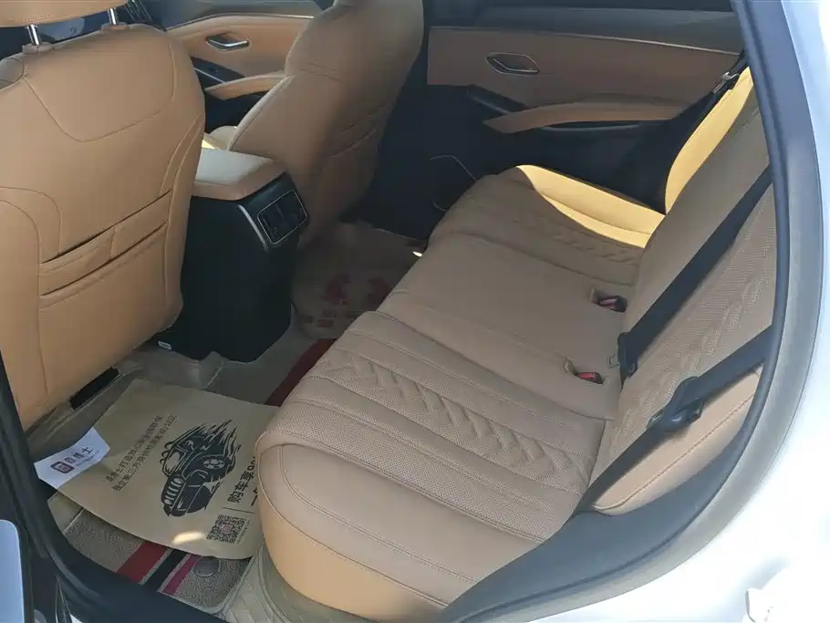 BYD L DM-i 2025 — фото 11
