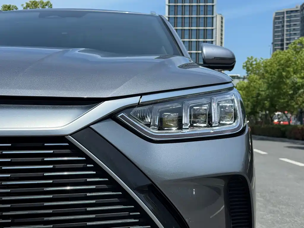 BYD PLUS New Energy 2023 — фото 20