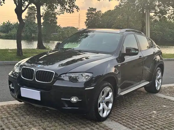 BMW X6 2013