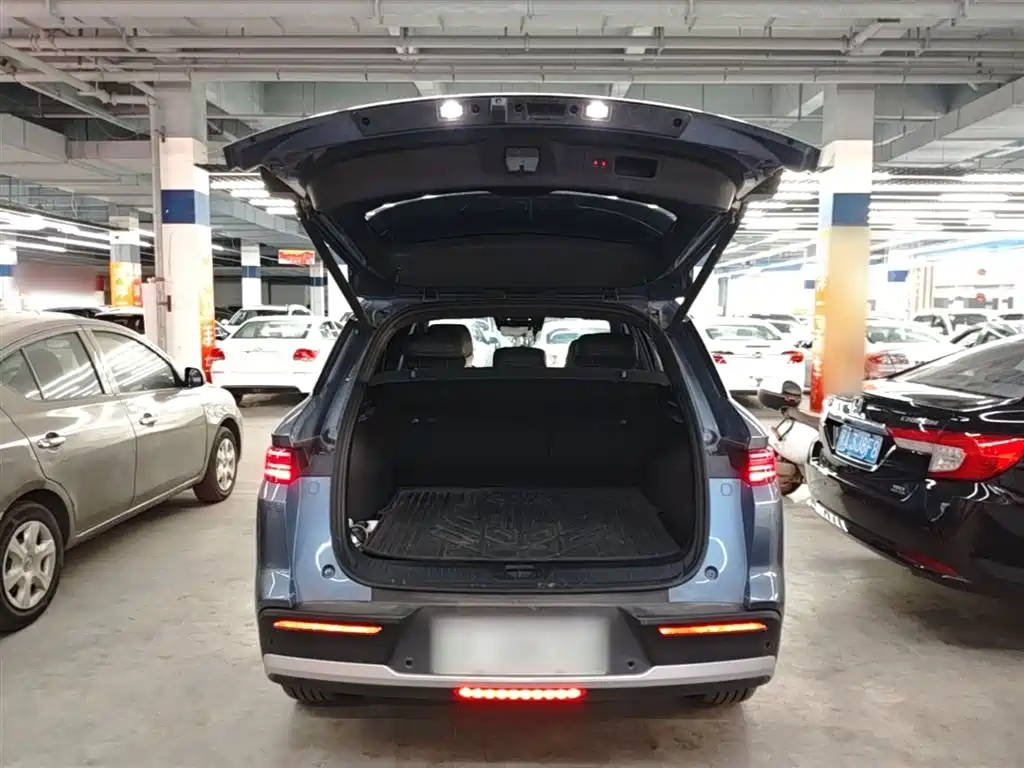 BYD Pro New Energy 2025 — фото 19
