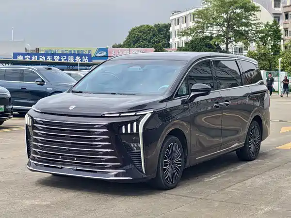 Dongfeng Forthing Xinghai V9 2024