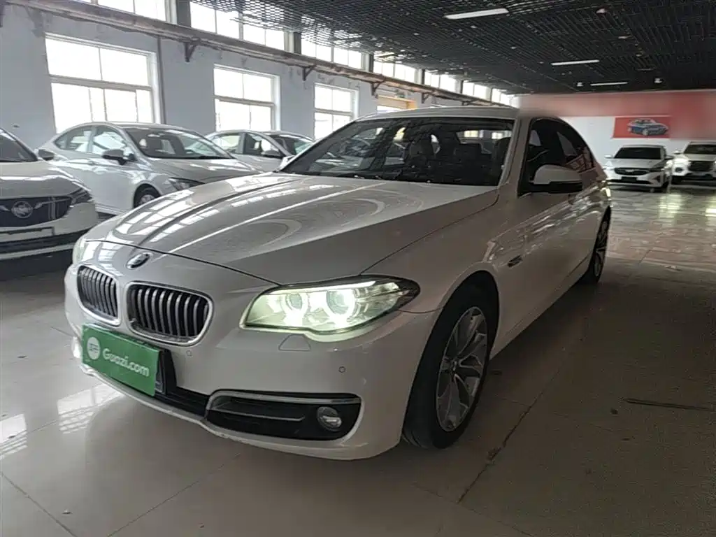 BMW 5 Series 2015 — фото 1