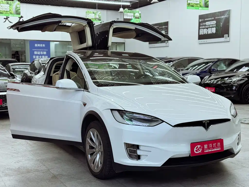 Tesla Model X 2017 — фото 10
