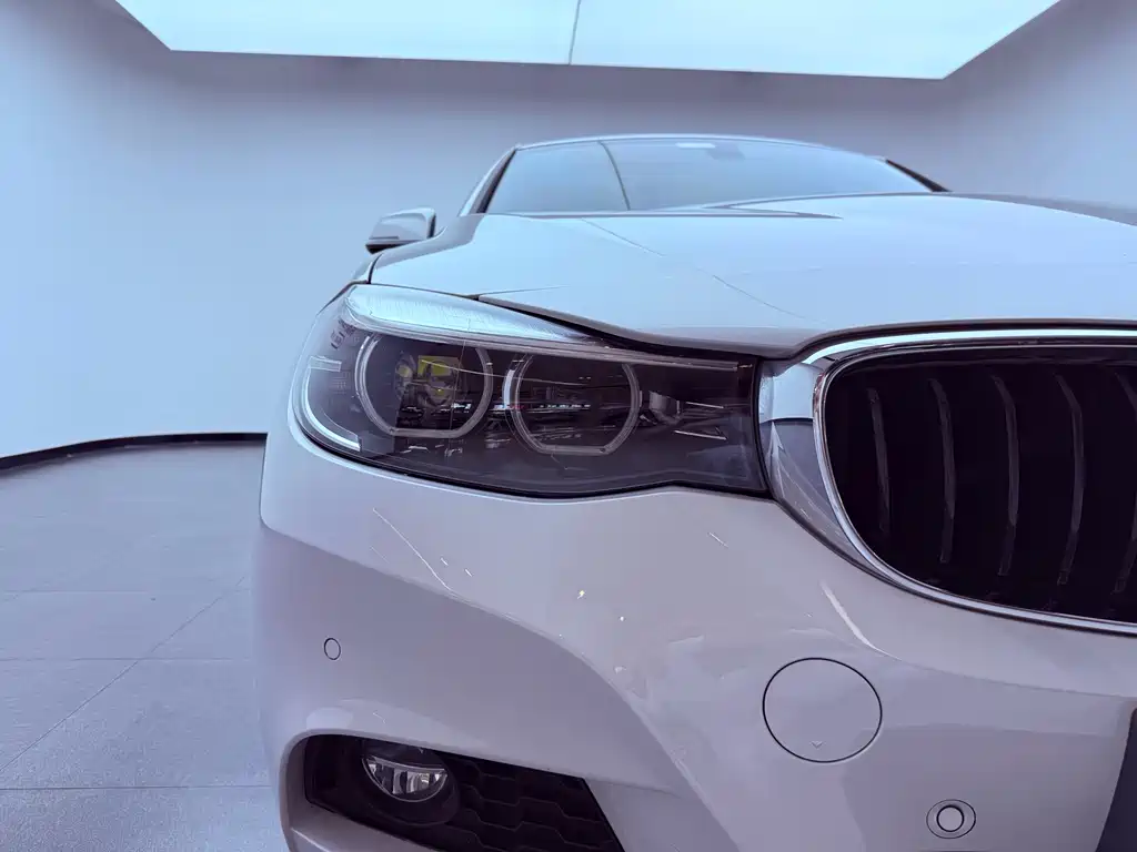 BMW 3 Series GT 2019 — фото 25