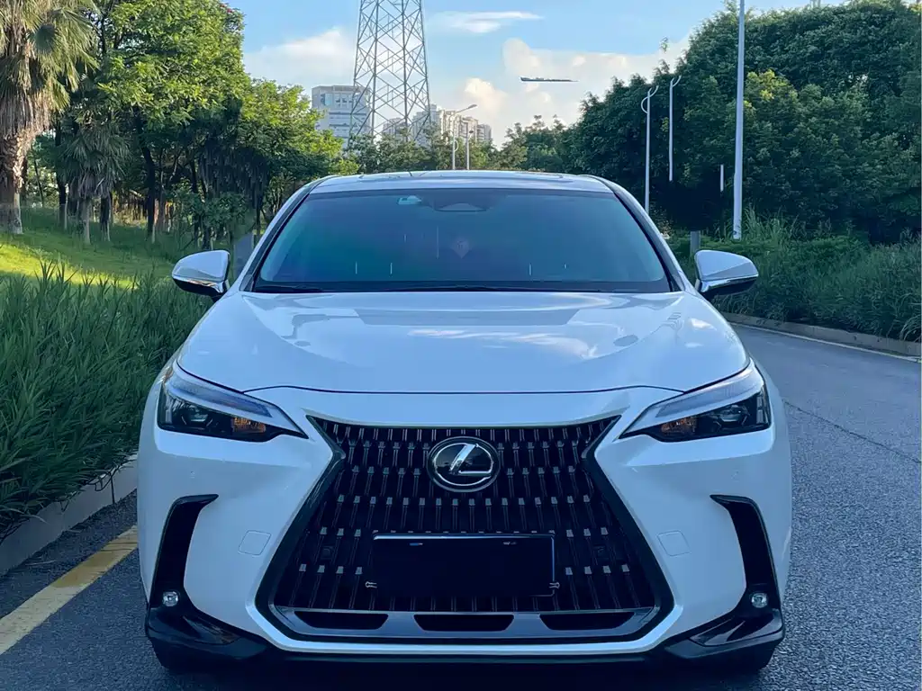 Lexus NX 2022