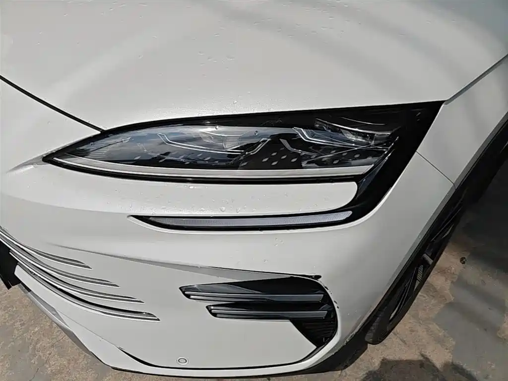 BYD PLUS New Energy 2025 — фото 24
