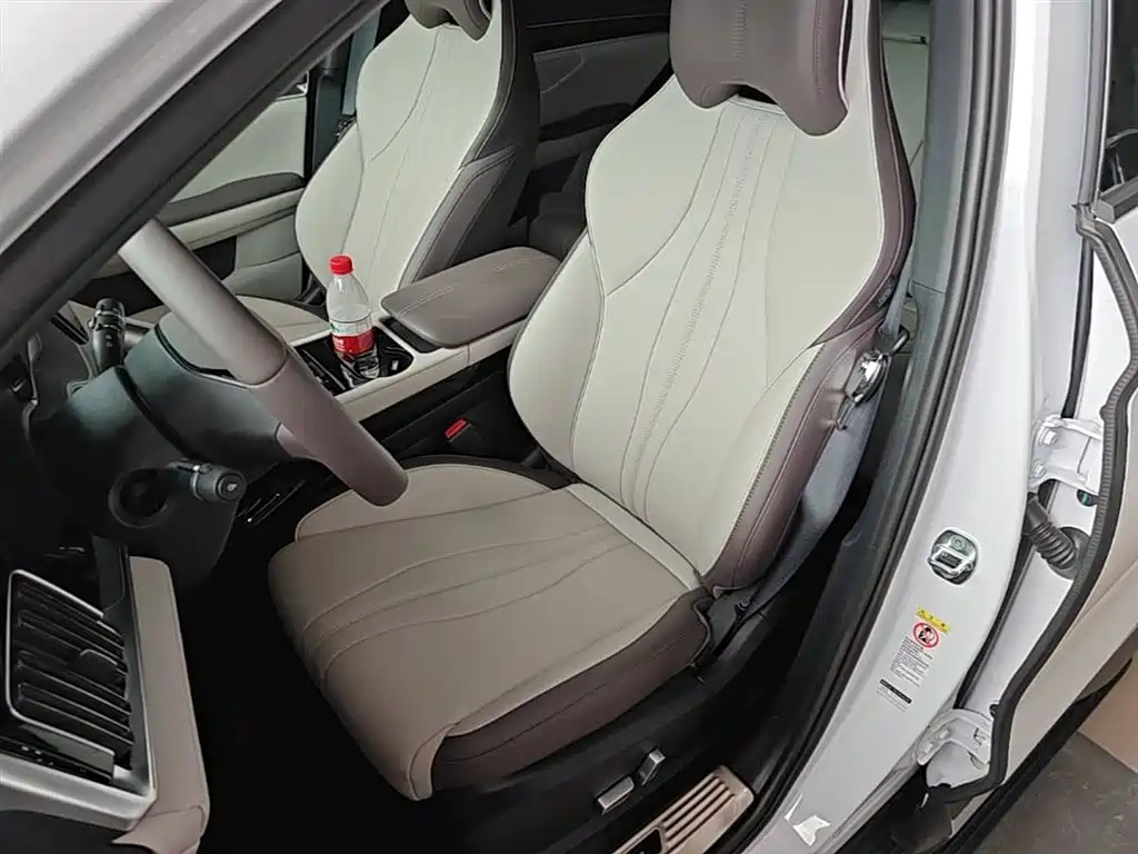 BYD PLUS New Energy 2025 — фото 15