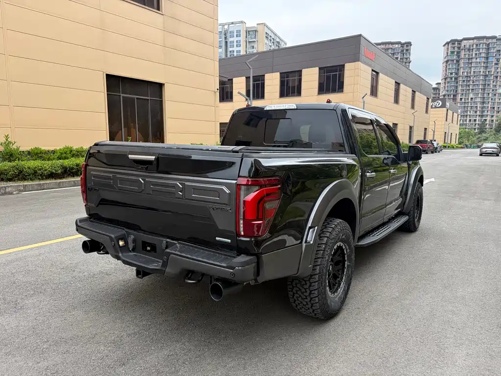 Ford F-150 Raptor 2019 — фото 8